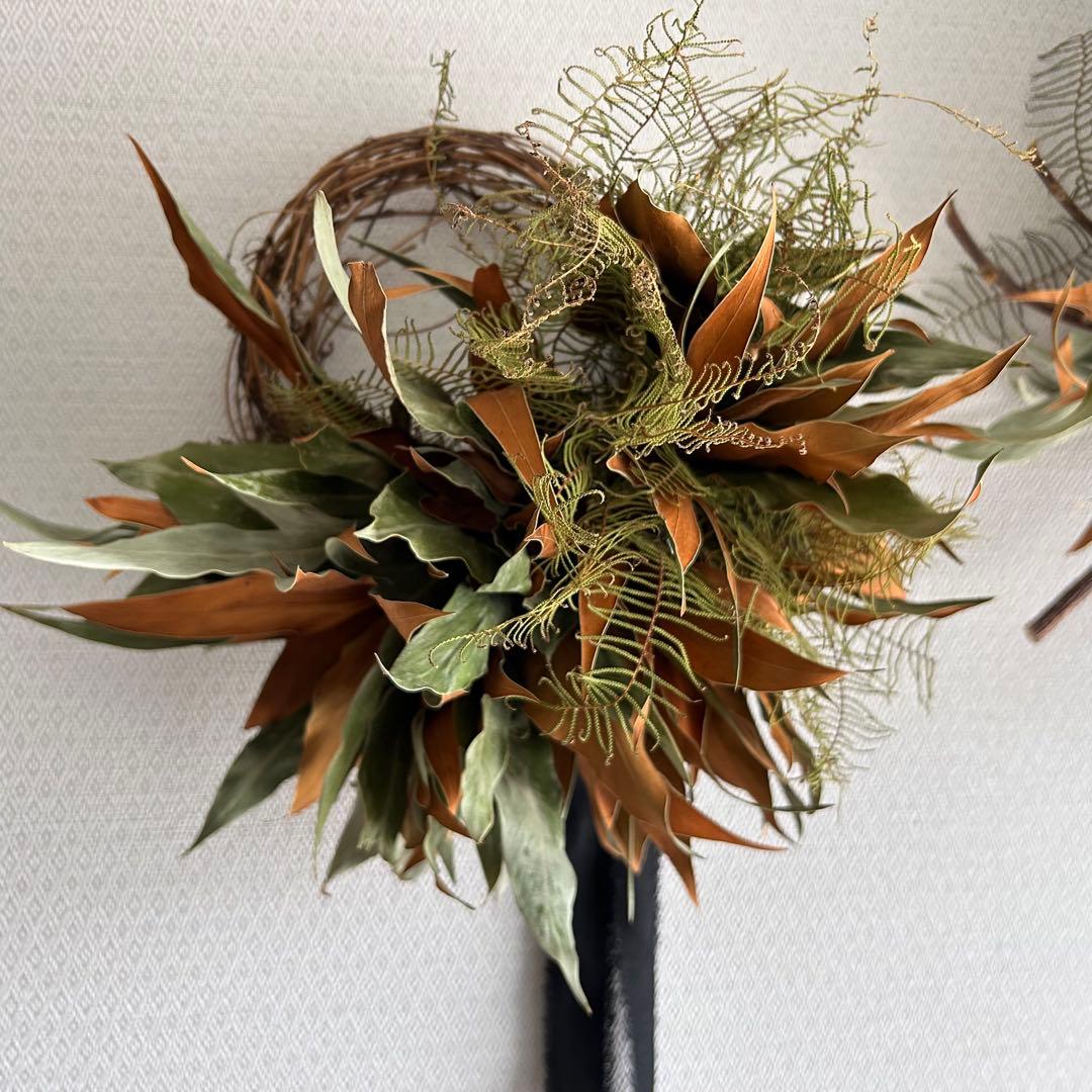 ドライフラワー、リース、ネイティブフラワー、グレビレアとシースターのリース