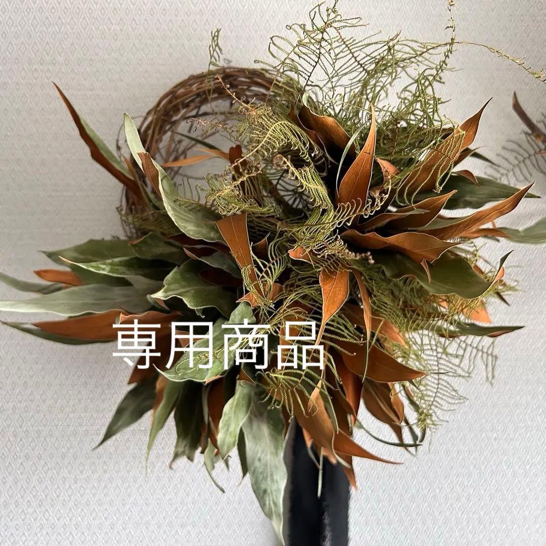 ドライフラワー、リース、ネイティブフラワー、グレビレアとシースターのリース