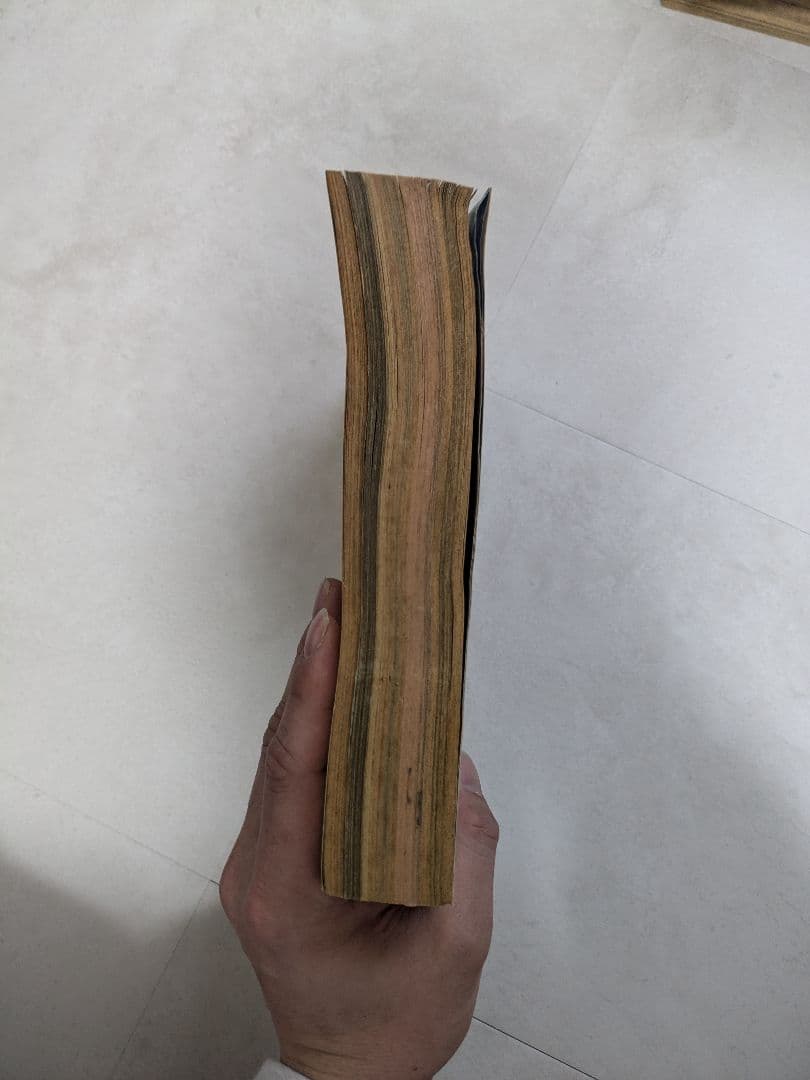 ANIMAL HOUSE 1990年11月号 ベルセルク掲載号