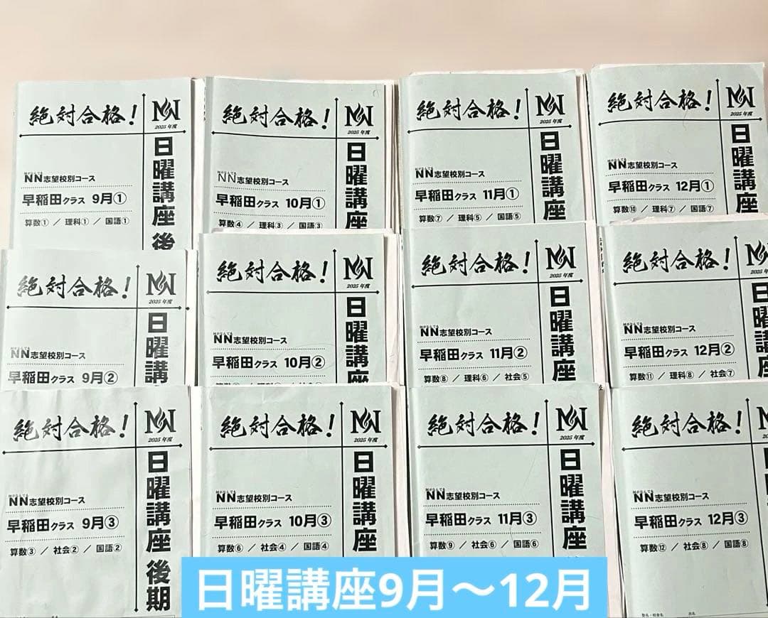【最新版】2026年度　NN早稲田　フルセット