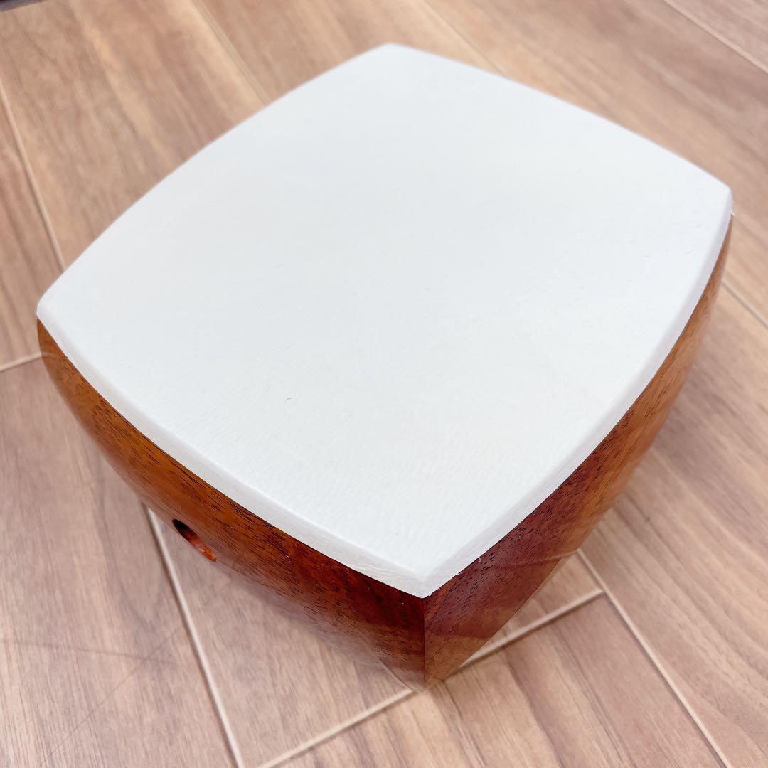 【未使用】胡弓 擦弦楽器 伝統楽器 和楽器　平溝　丸打胴