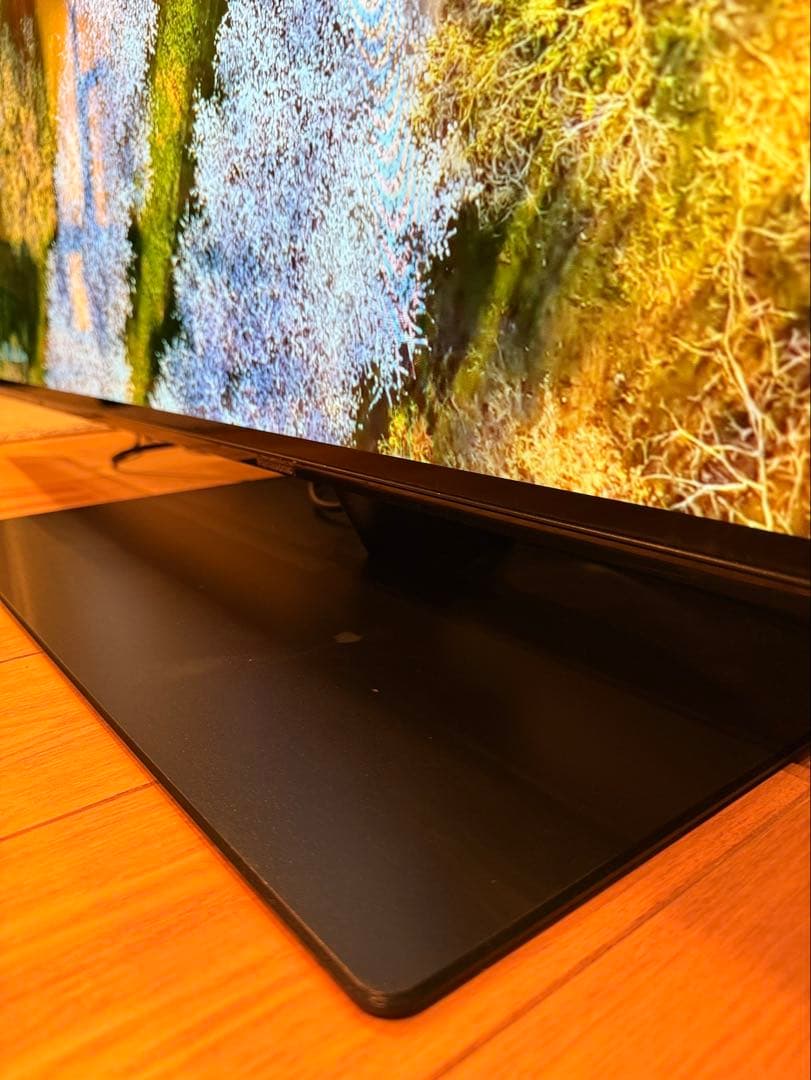 【かいじゅうぶーうごん様】Panasonic 2019年製 TH-55FZ950