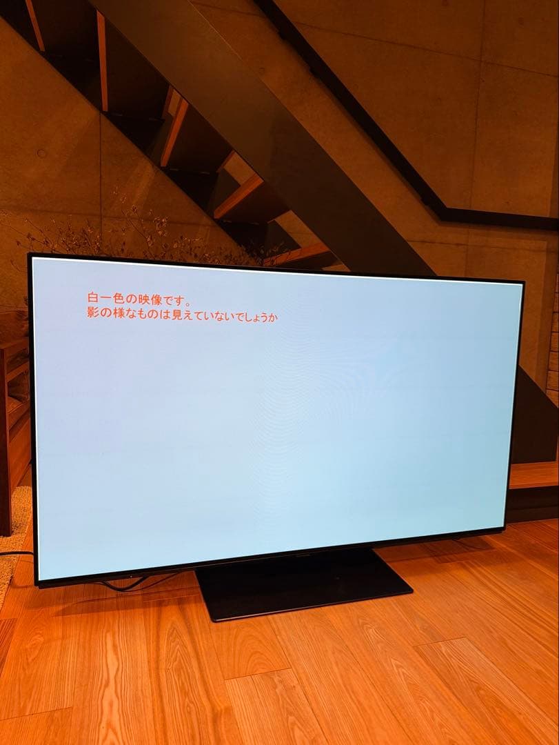 【かいじゅうぶーうごん様】Panasonic 2019年製 TH-55FZ950