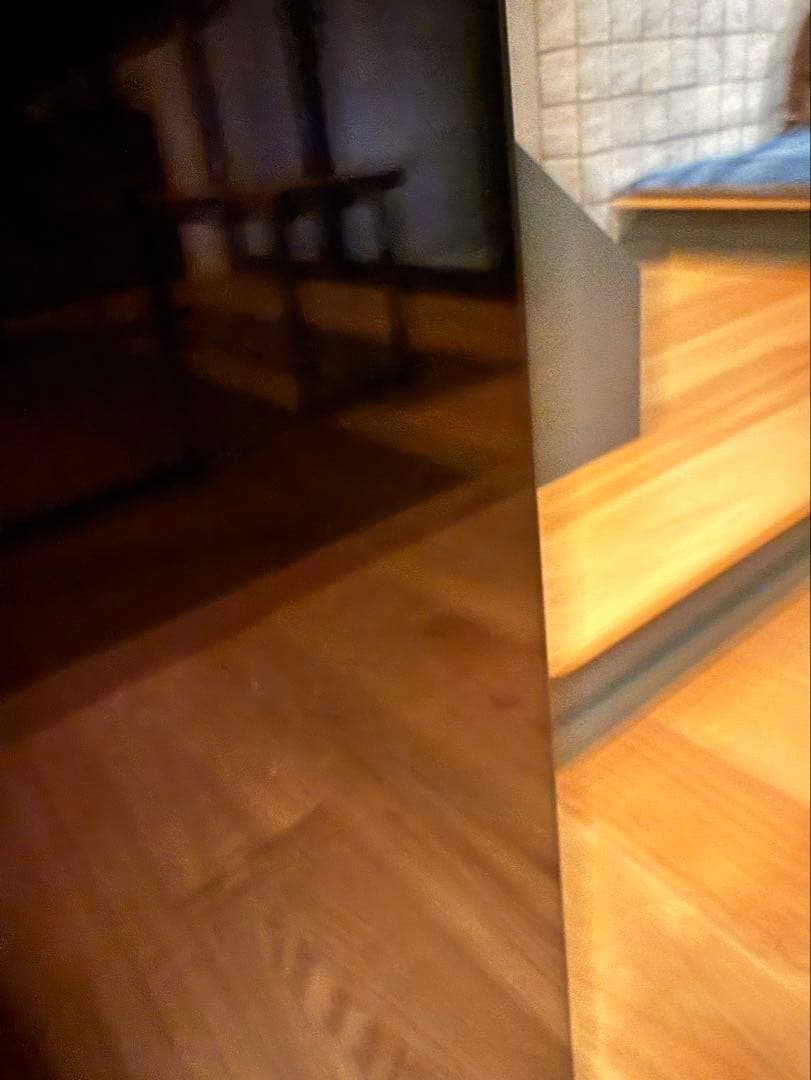 【かいじゅうぶーうごん様】Panasonic 2019年製 TH-55FZ950