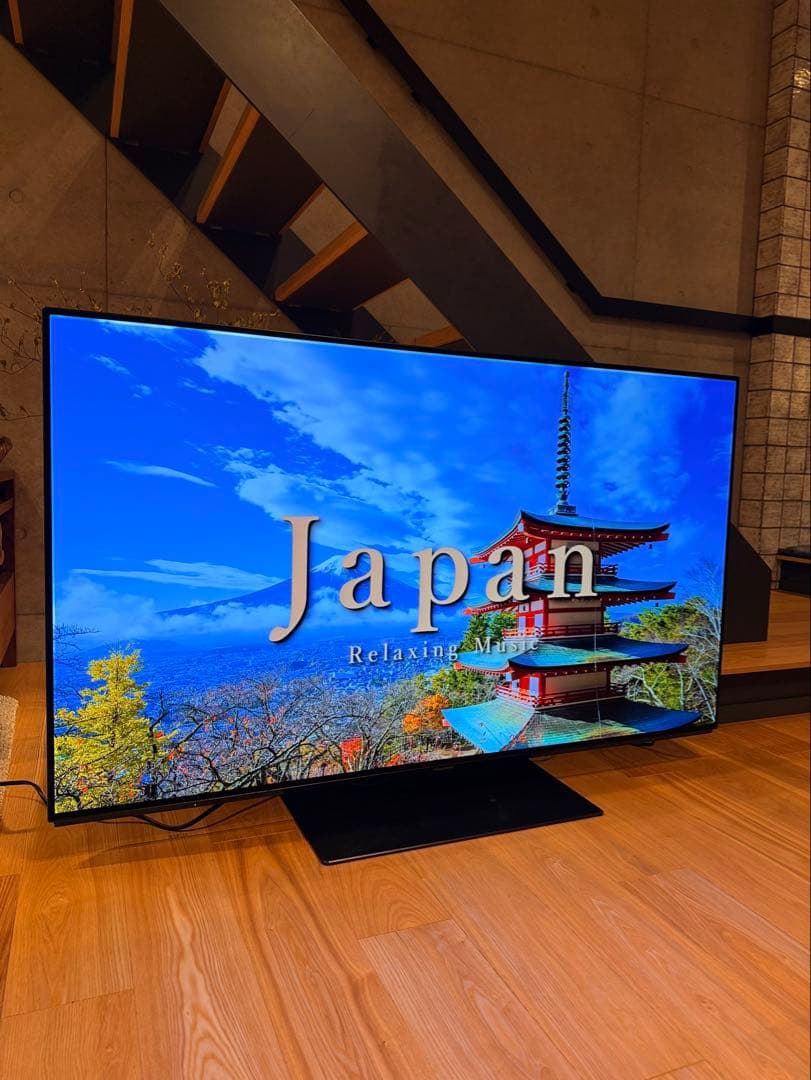 【かいじゅうぶーうごん様】Panasonic 2019年製 TH-55FZ950