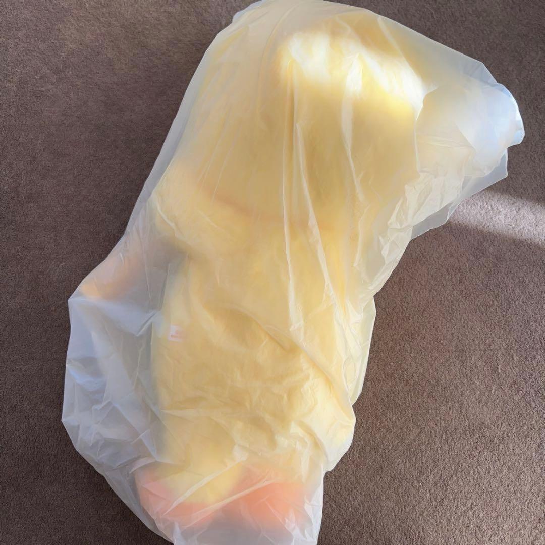 StrayKids スキズ SKZOO PLUSH BAG ポガリ