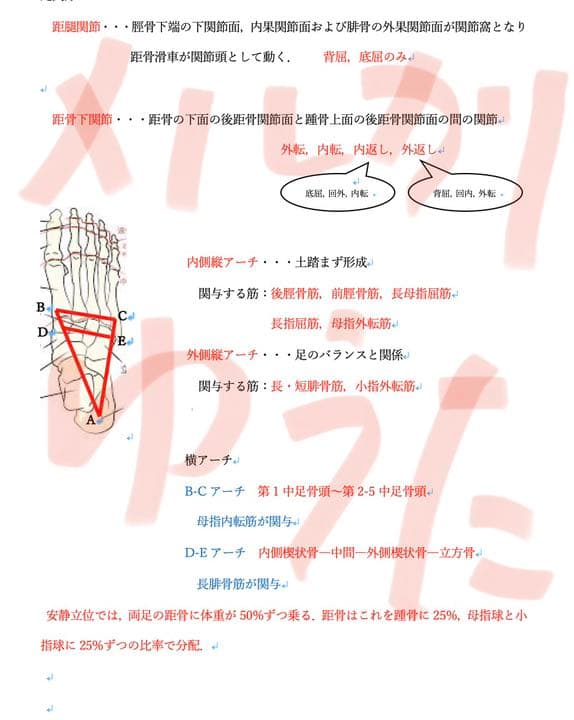 著作権譲ります　先着1名限定です！