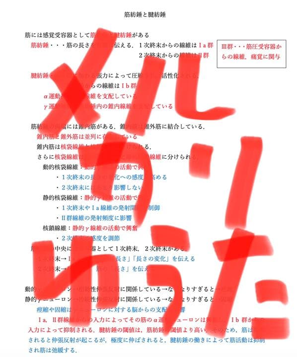 著作権譲ります　先着1名限定です！