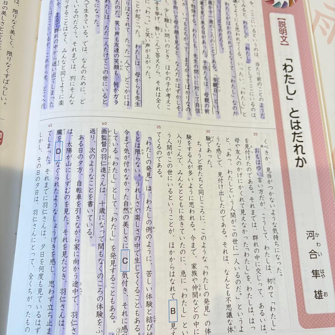 サピックスコアマスター　４年 国算理社　2024年度　中古　書き込み少
