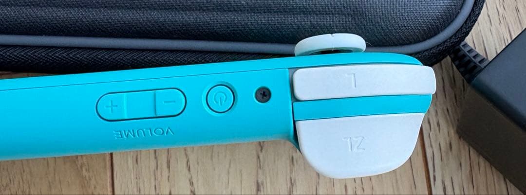 Nintendo Switch Lite 本体 充電器、ケース付き