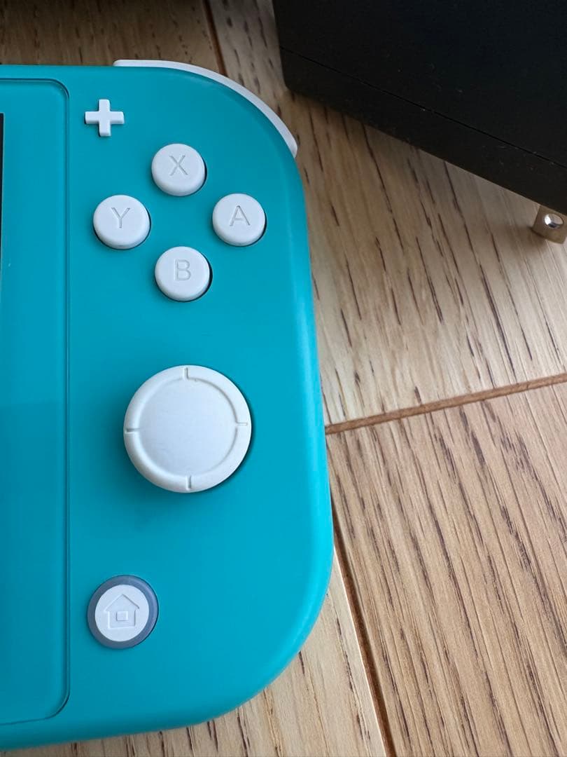 Nintendo Switch Lite 本体 充電器、ケース付き