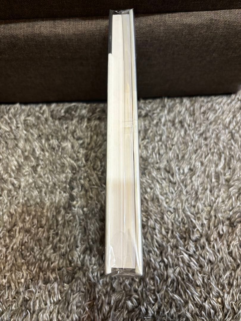 アンリ・カルティエ=ブレッソン THE DECISIVE MOMNT 新品