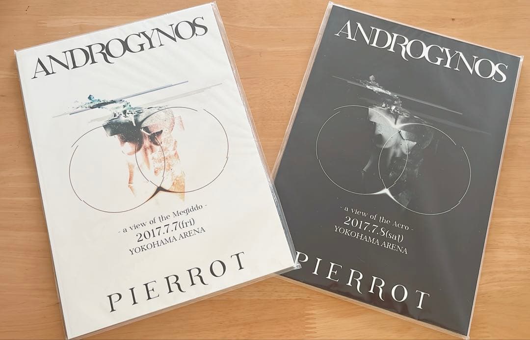 PIERROT DIR EN GREY ANDROGYNOS 豪華盤 DVD