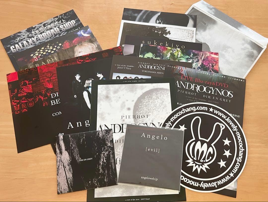 PIERROT DIR EN GREY ANDROGYNOS 豪華盤 DVD