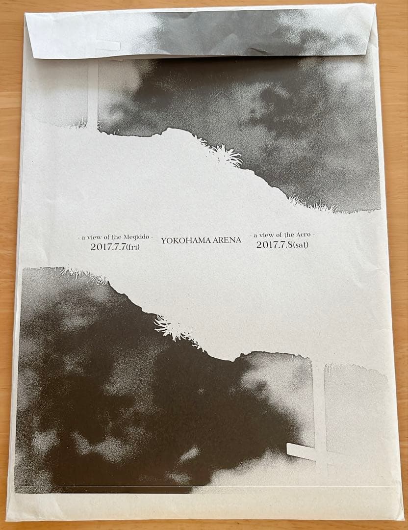 PIERROT DIR EN GREY ANDROGYNOS 豪華盤 DVD