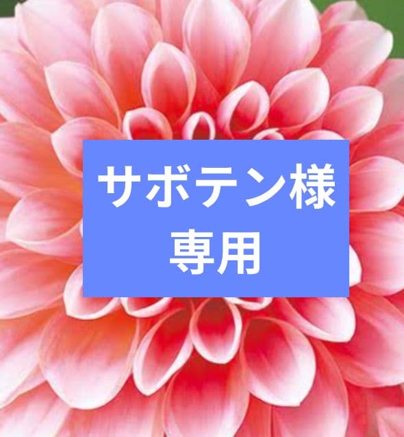 リボン付きタンクトップ（ベージュ・黒）6枚セット