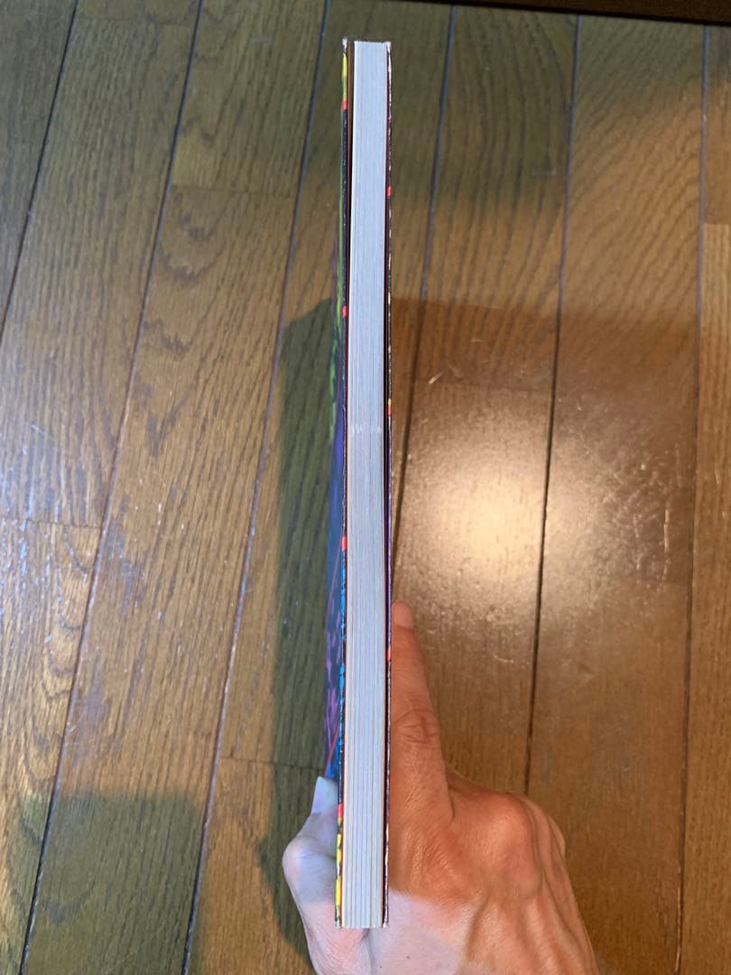 【希少美品】止められるか 俺たちを 写真集 暴走族 当時物 コレクター