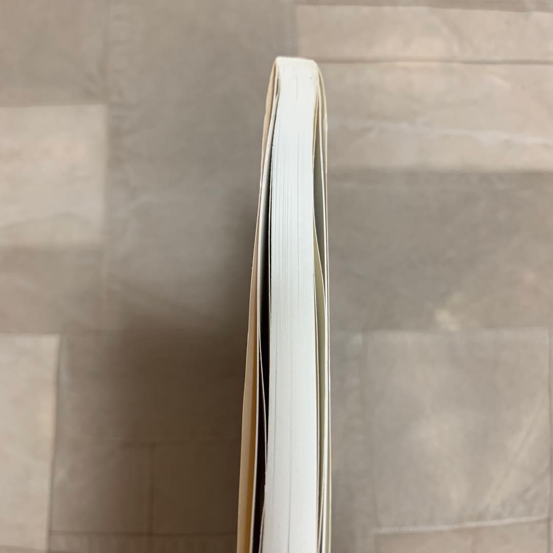 【希少！】渡辺達生 写真集KISS KISS KISS XXX 片岡礼子 遠藤雅