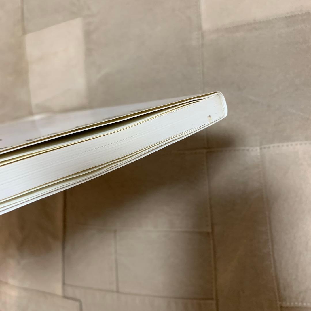 【希少！】渡辺達生 写真集KISS KISS KISS XXX 片岡礼子 遠藤雅