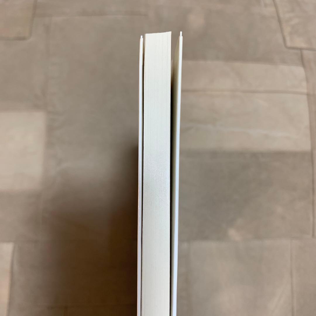 【希少！】渡辺達生 写真集KISS KISS KISS XXX 片岡礼子 遠藤雅