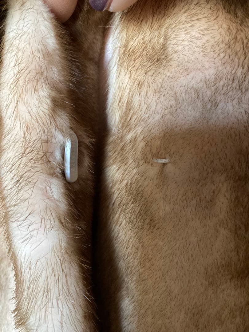 ミンク　ピンクファーコート ショート丈 大きな襟