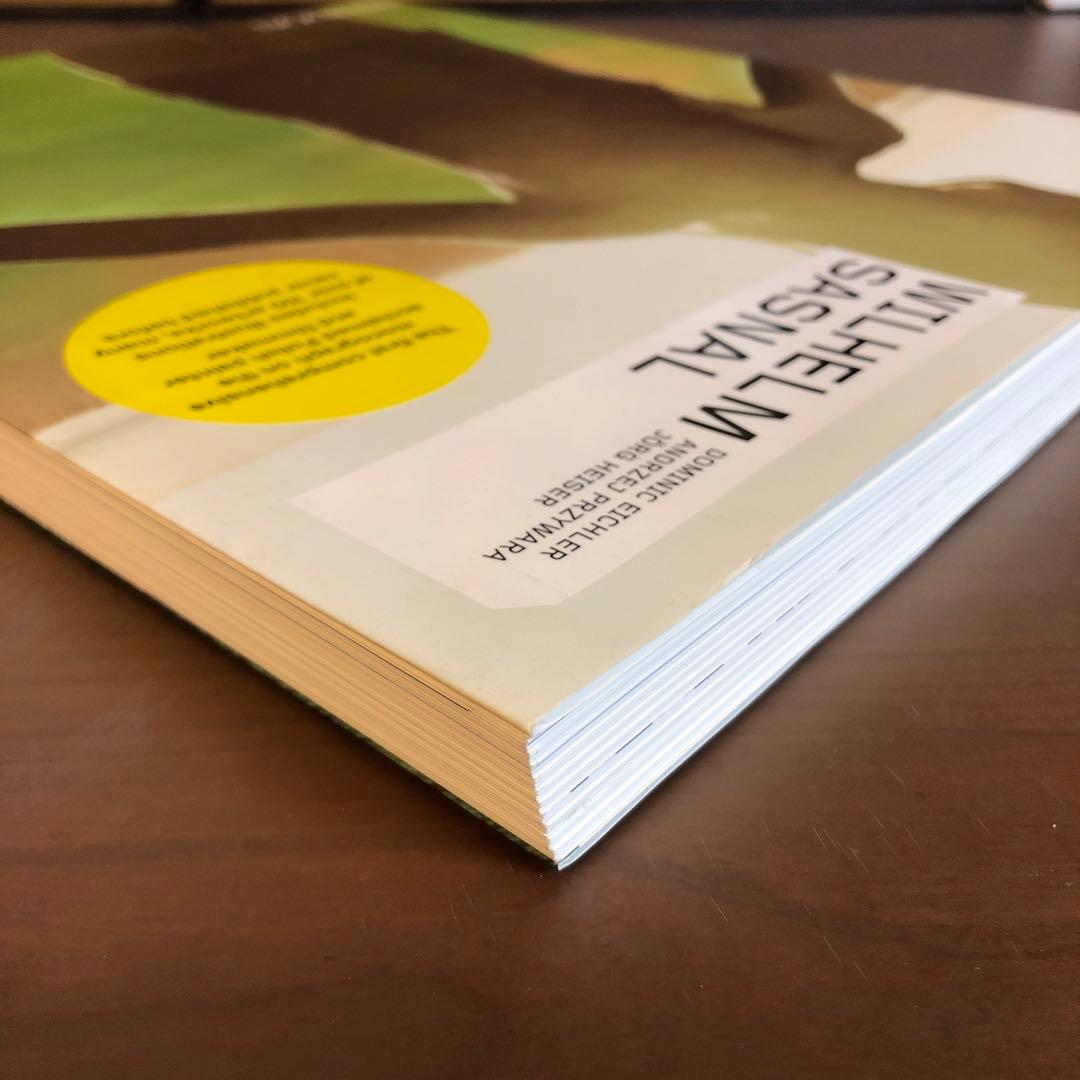 WILHELM SASNAL PHAIDON ヴィルヘルム・サスナル (洋書)