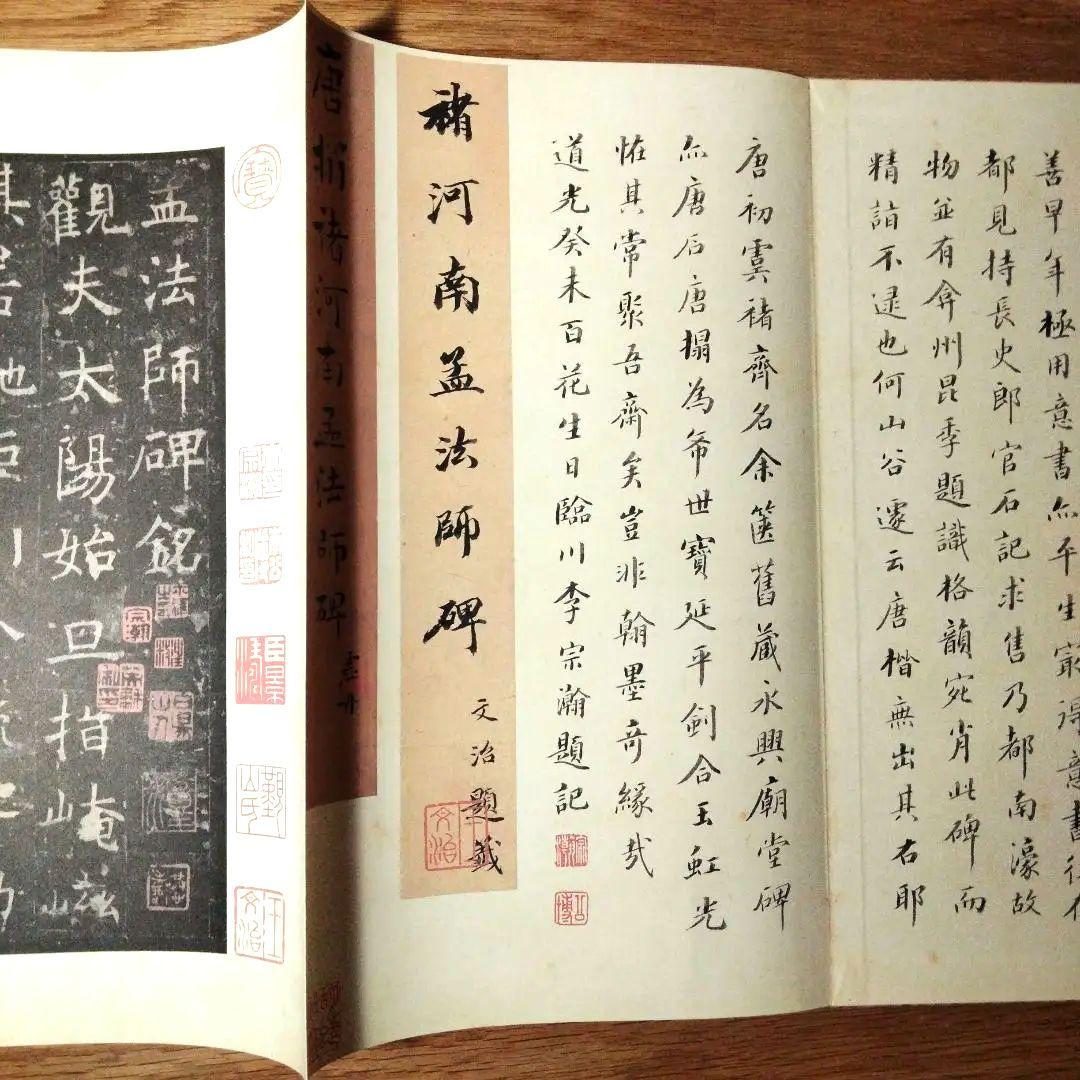 原色法帖選 王羲之尺牘集 孟法師碑 書譜 自叙帖 草書千字文 5冊セット 二玄社