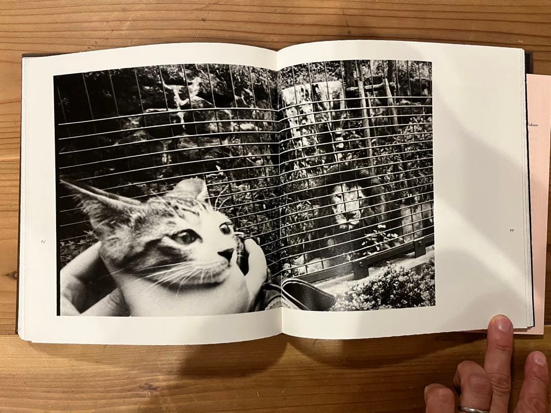 深瀬昌久 Afterword 限定900部