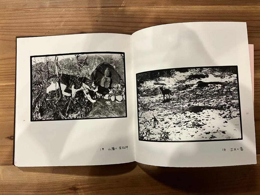 深瀬昌久 Afterword 限定900部