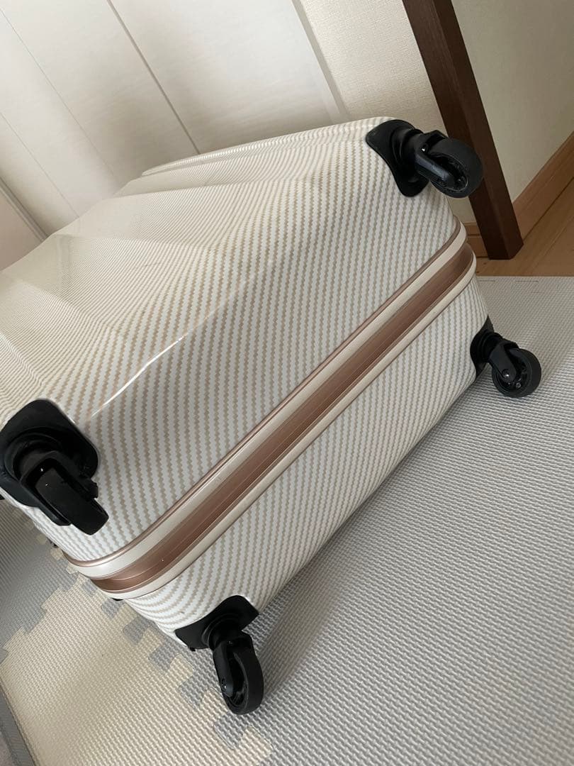 レジェンドウォーカー　ラフカーボンホワイトゴールド キャリーケース90ℓ