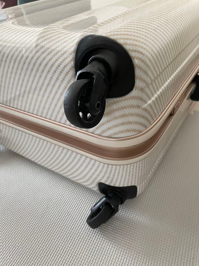 レジェンドウォーカー　ラフカーボンホワイトゴールド キャリーケース90ℓ