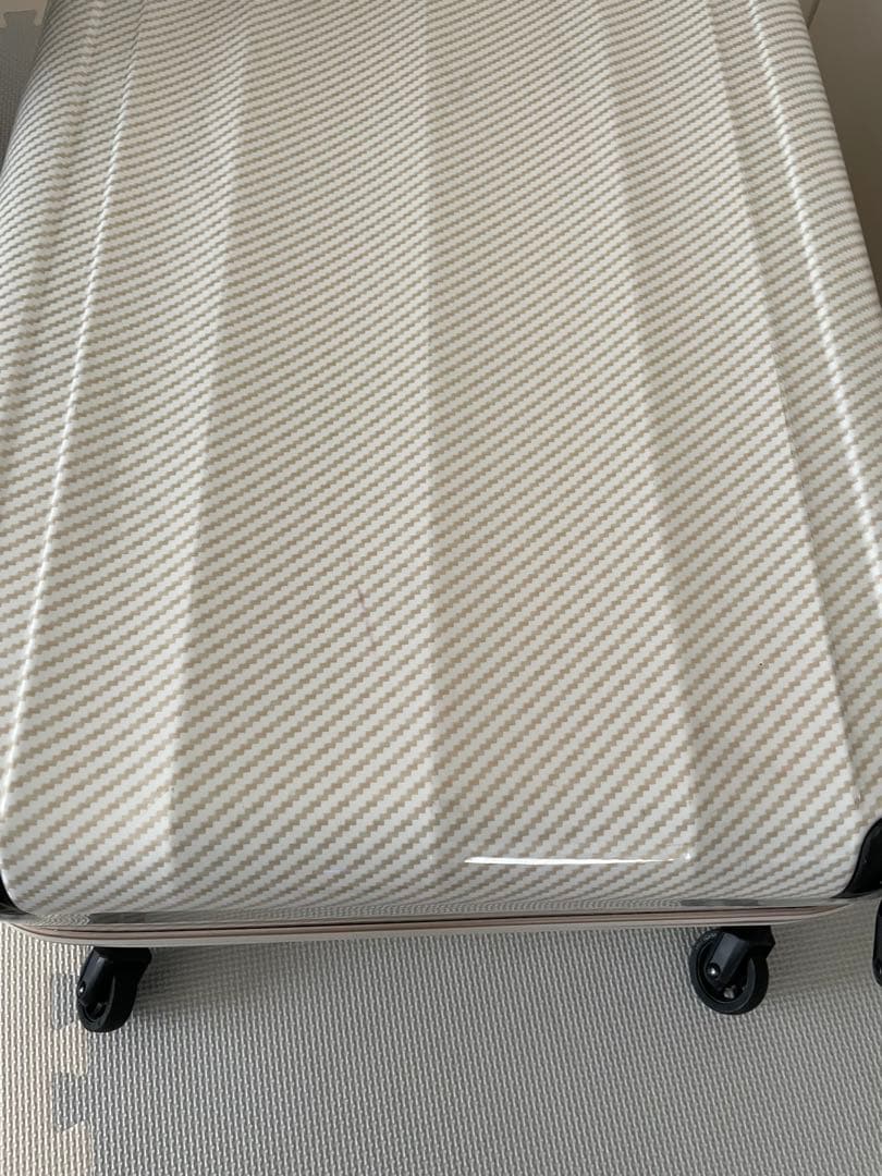 レジェンドウォーカー　ラフカーボンホワイトゴールド キャリーケース90ℓ