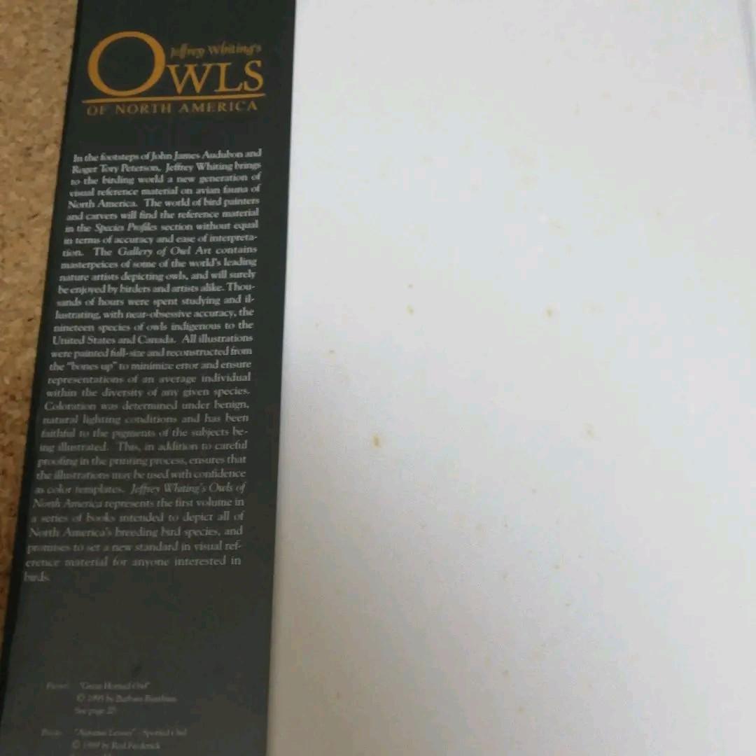 洋書 Jeffrey Whiting's Owls of North America