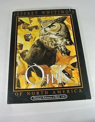 洋書 Jeffrey Whiting's Owls of North America