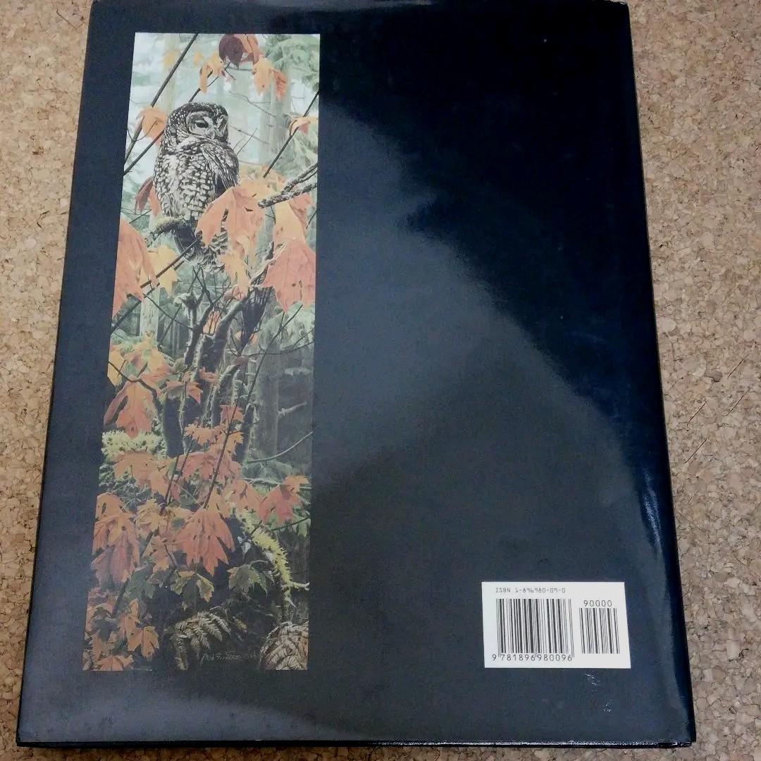 洋書 Jeffrey Whiting's Owls of North America