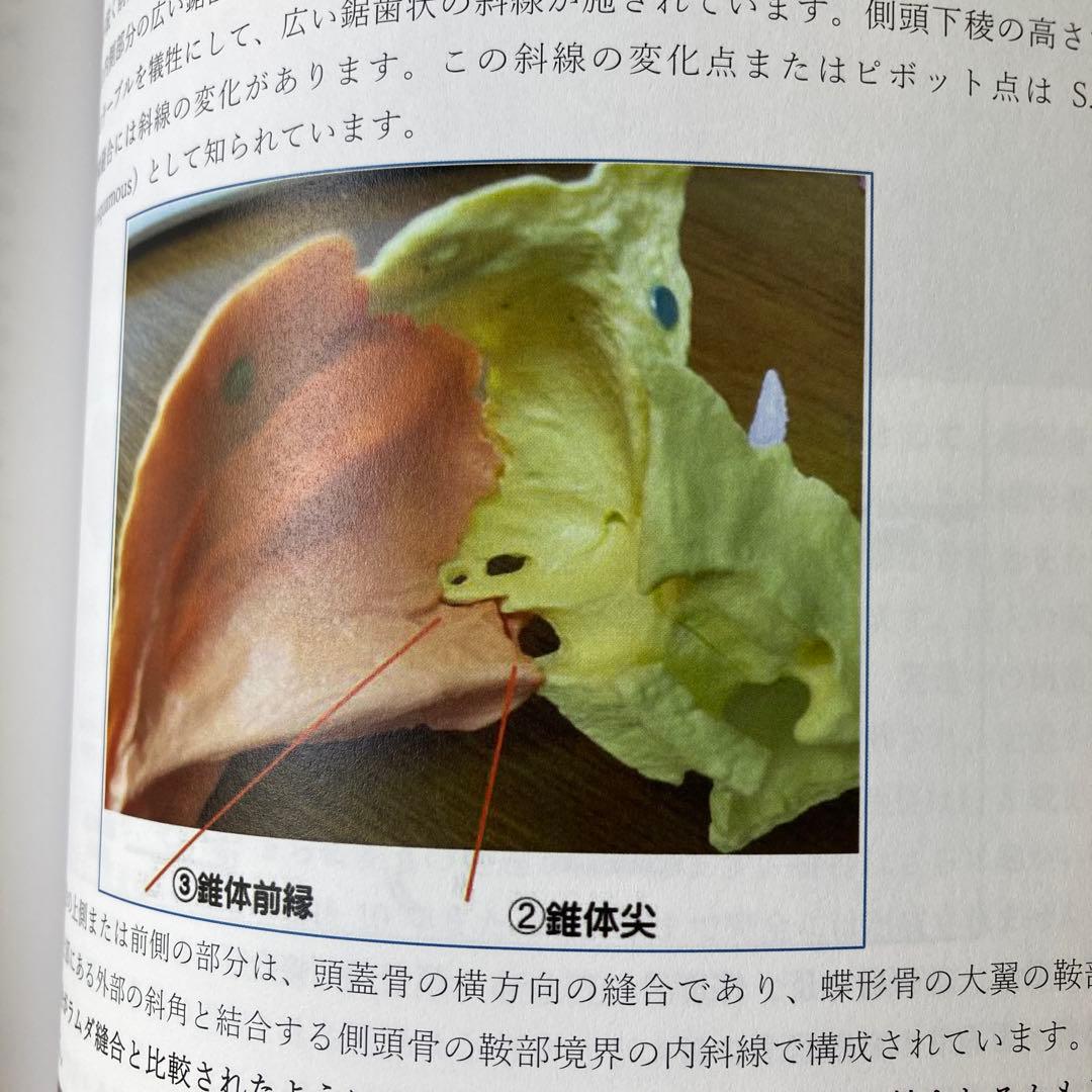 アーバックル著作選集　オステオパシー