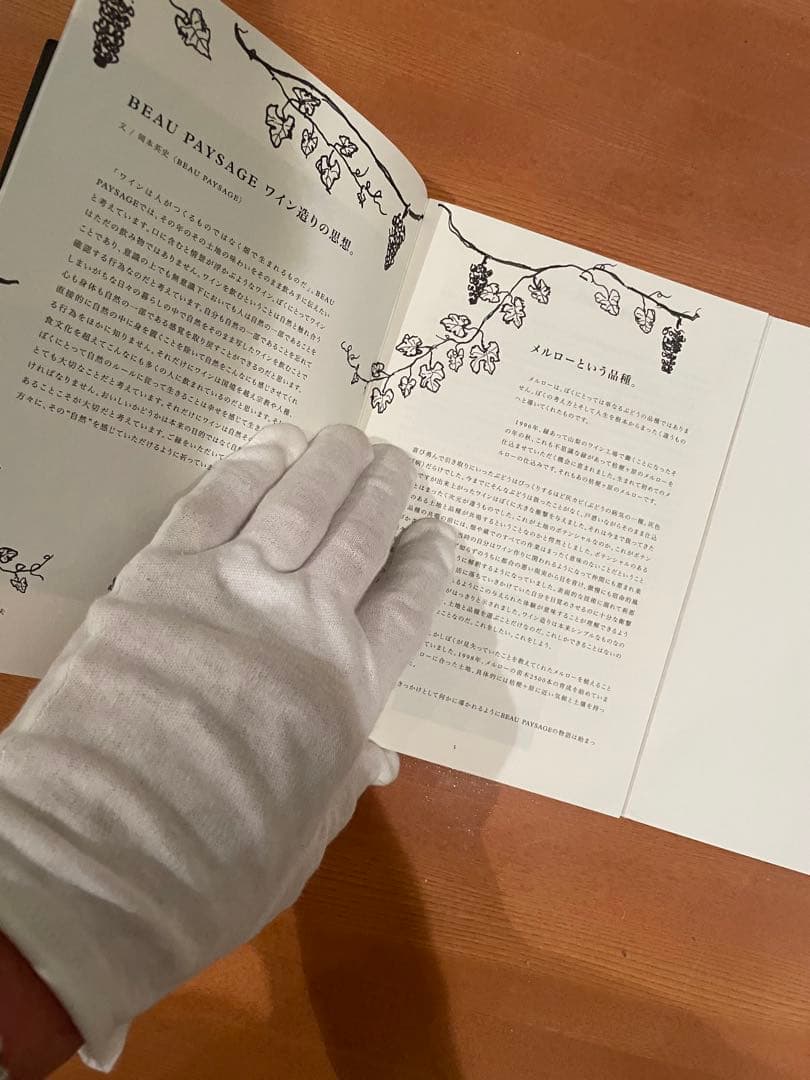 BEAU PAYSAGE cd 2015 2016 2017 3枚セット