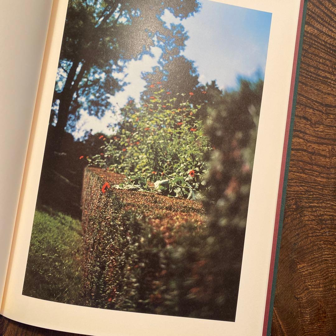 Terri Weifenbach Lana テリ・ワイフェンバック 写真集