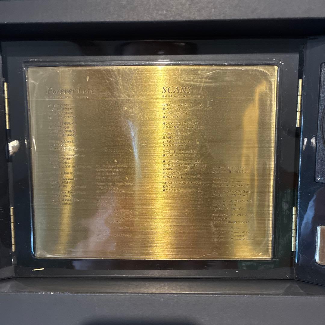 X JAPAN CD hide メモリアル　限定