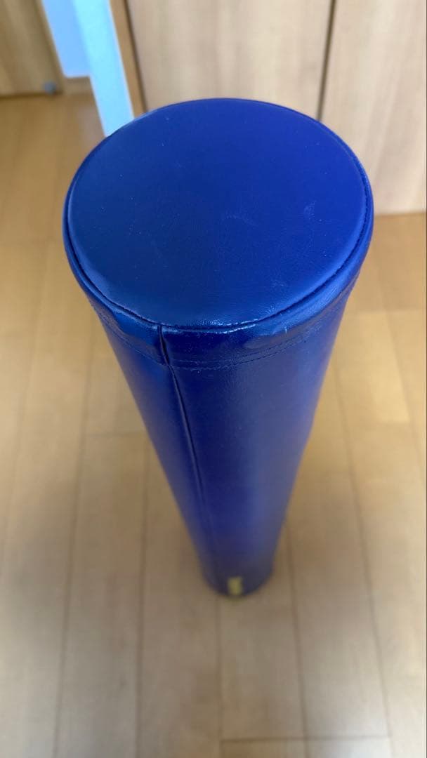 ストレッチポール　EX LPN社正規品