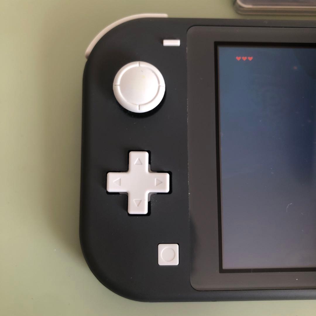 Nintendo Switch Lite （充電アダプタ&外箱&ソフト付き）