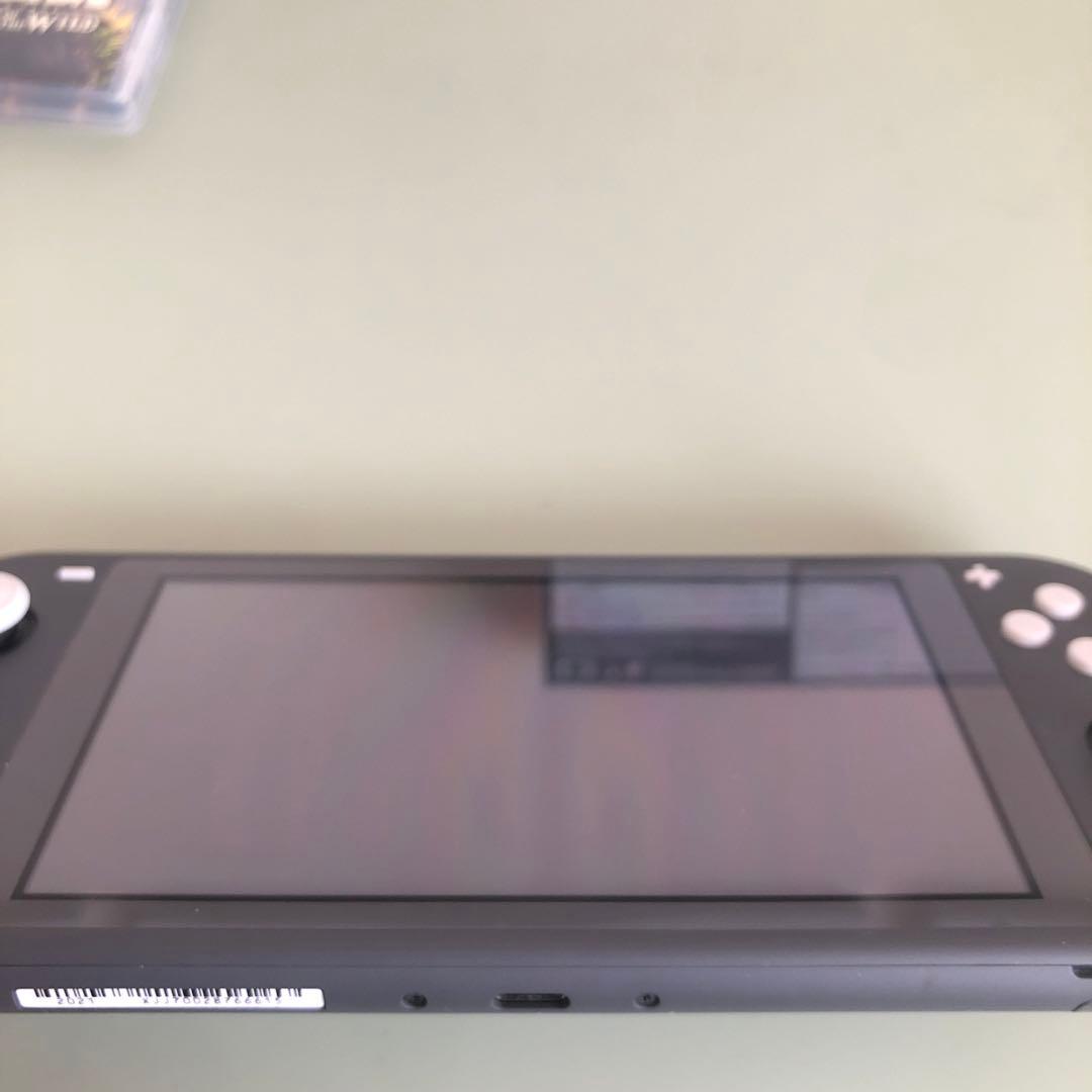 Nintendo Switch Lite （充電アダプタ&外箱&ソフト付き）