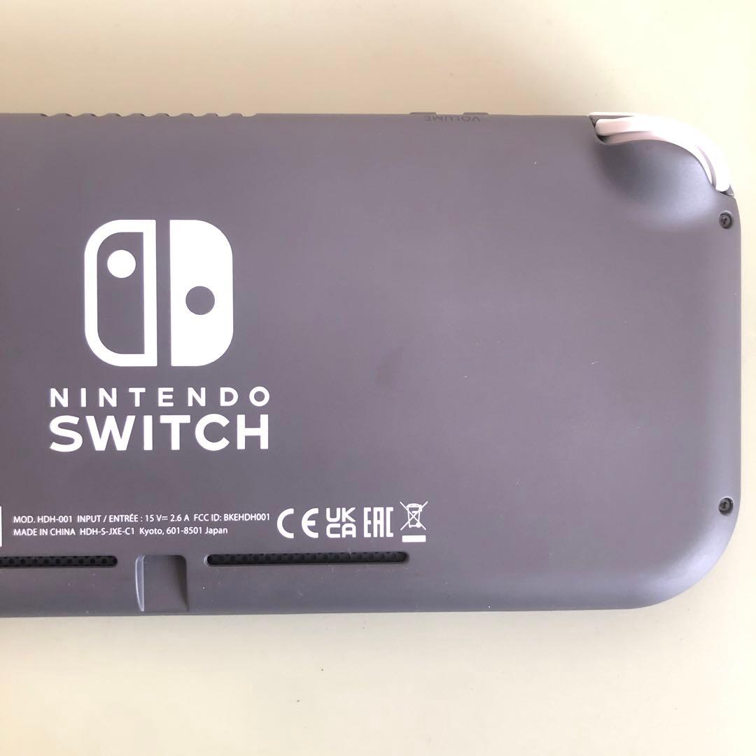 Nintendo Switch Lite （充電アダプタ&外箱&ソフト付き）