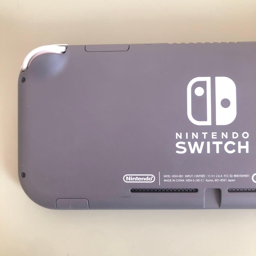 Nintendo Switch Lite （充電アダプタ&外箱&ソフト付き）