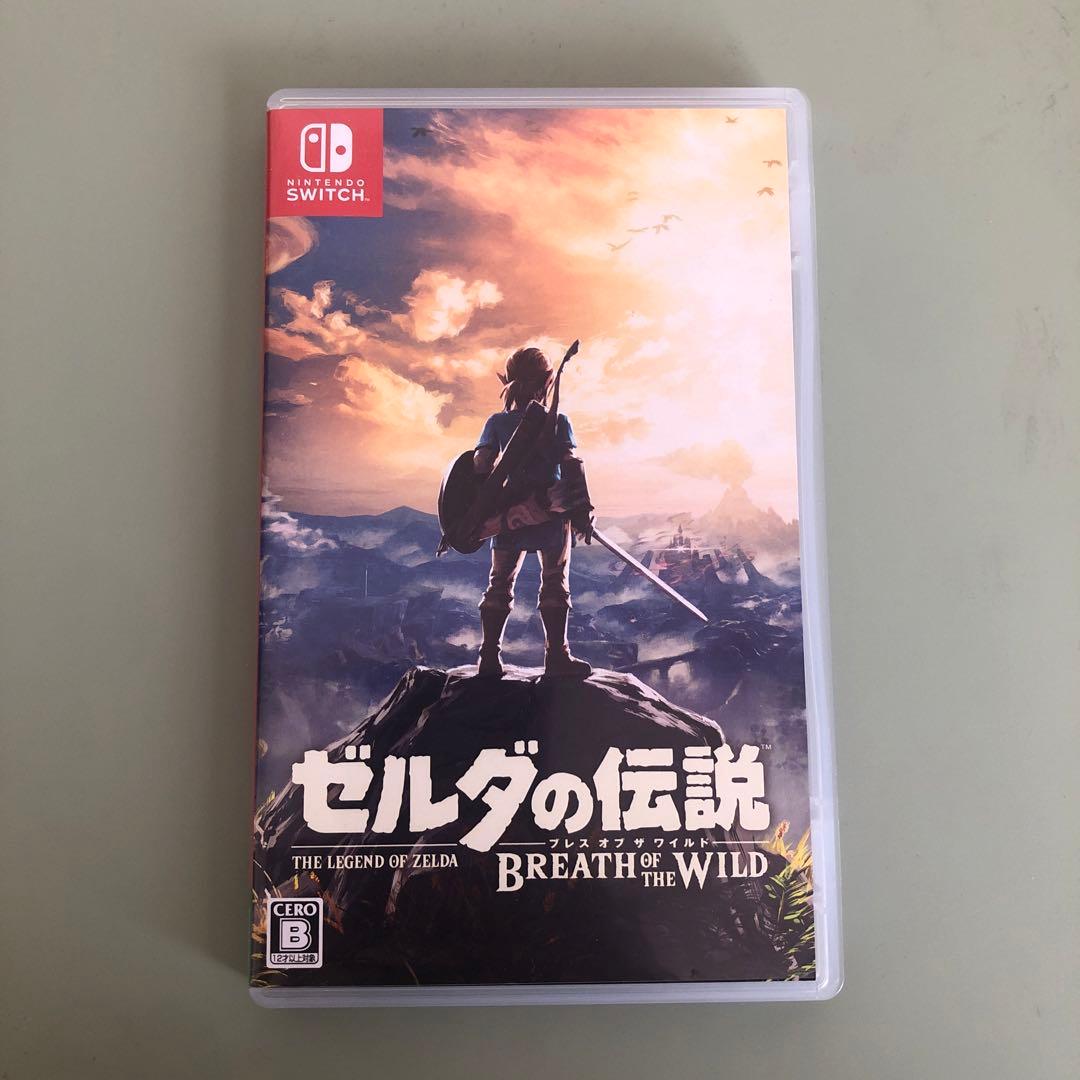 Nintendo Switch Lite （充電アダプタ&外箱&ソフト付き）