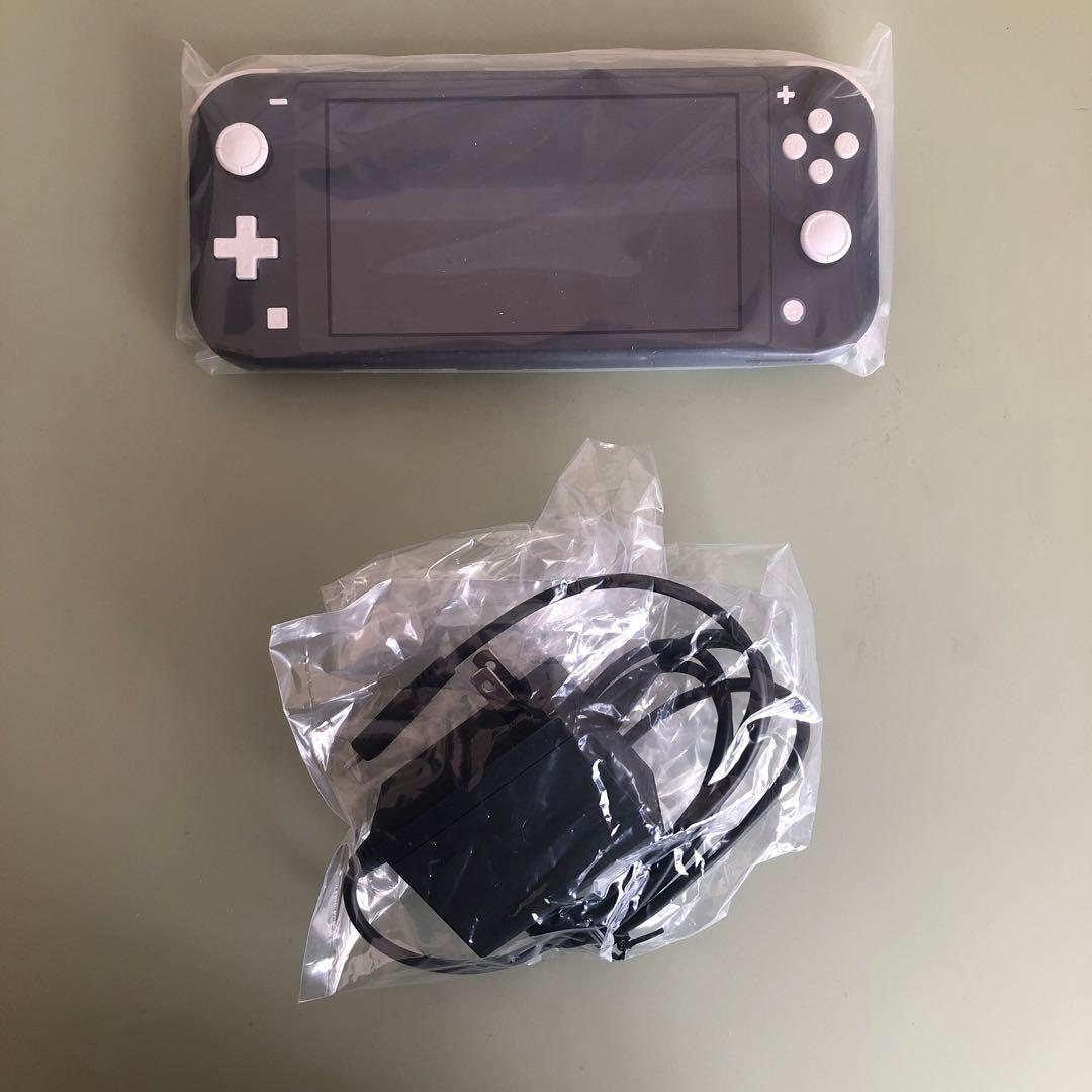 Nintendo Switch Lite （充電アダプタ&外箱&ソフト付き）
