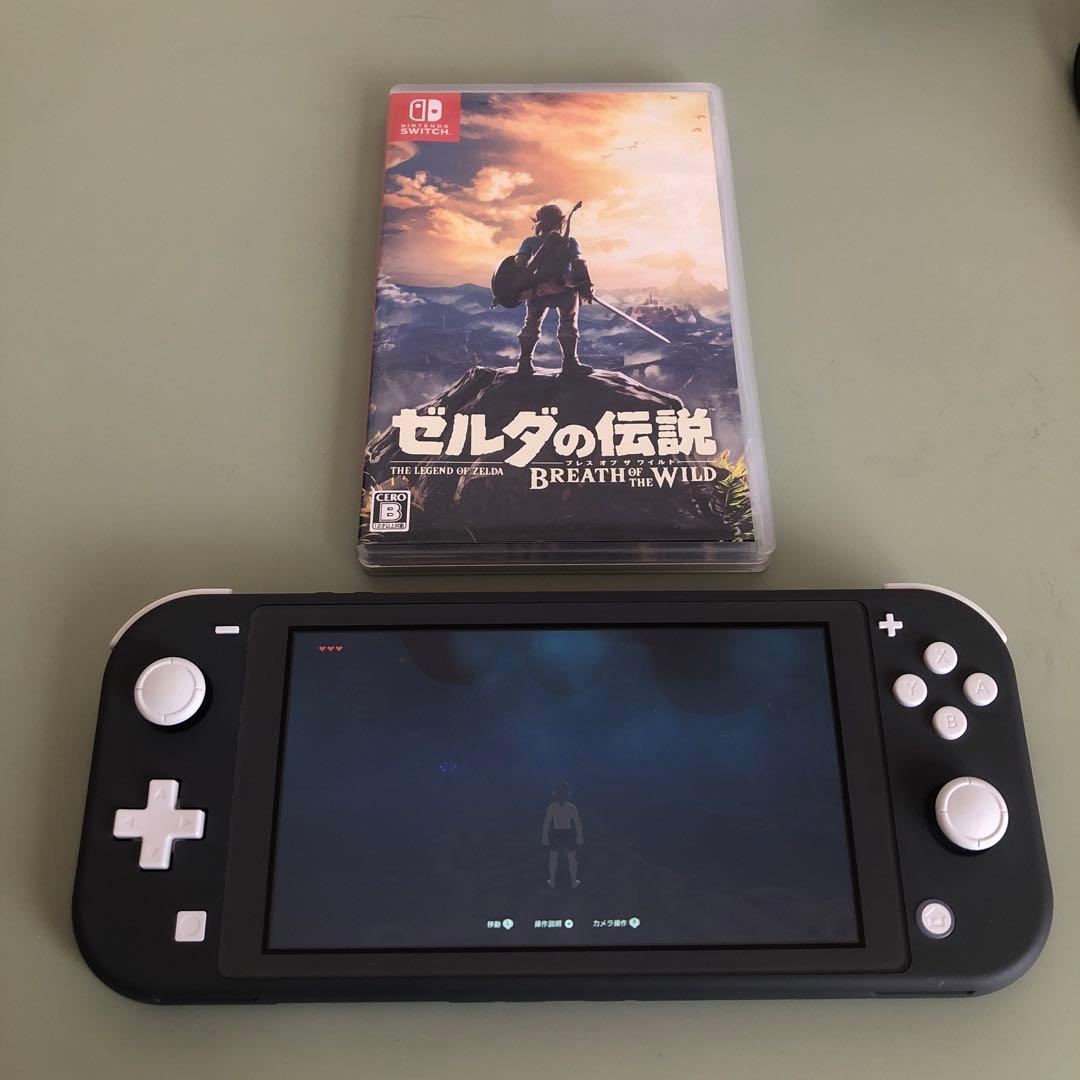 Nintendo Switch Lite （充電アダプタ&外箱&ソフト付き）