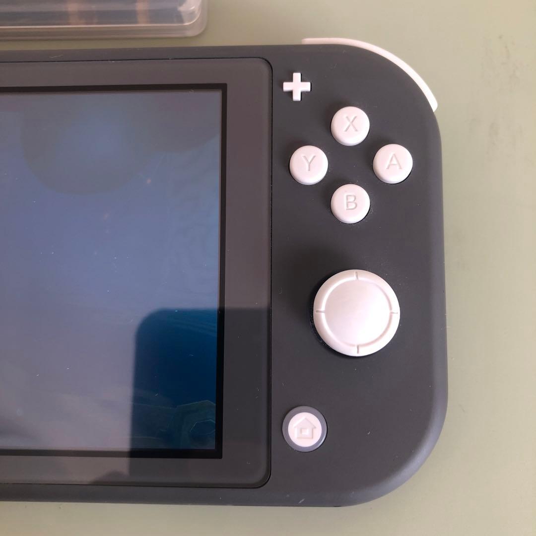 Nintendo Switch Lite （充電アダプタ&外箱&ソフト付き）