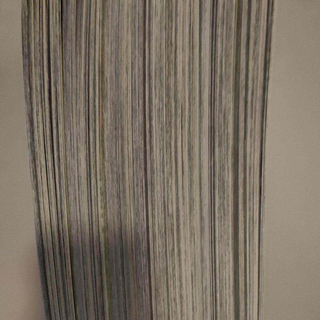 ニワトリ・ファイター　ROOSTER FIGHTER　英語　桜谷シュウ