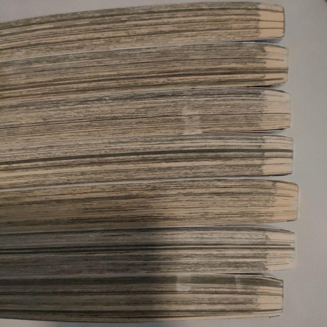 ニワトリ・ファイター　ROOSTER FIGHTER　英語　桜谷シュウ